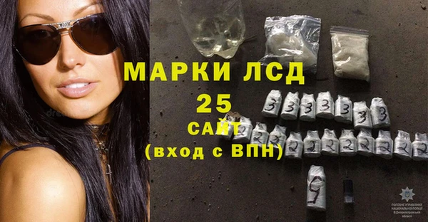 spice Алзамай
