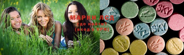 PSILOCYBIN Абдулино