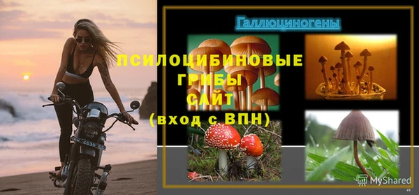 стафф Алексеевка