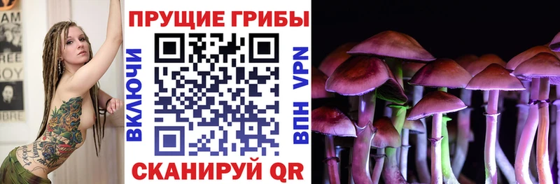 Псилоцибиновые грибы Psilocybine cubensis  как найти наркотики  Череповец 