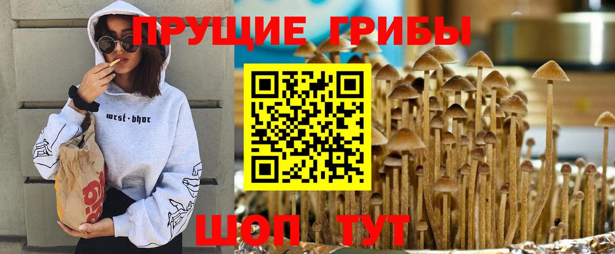 Галлюциногенные грибы мицелий Череповец