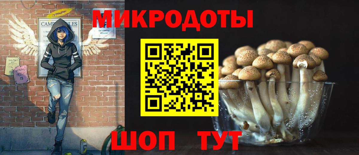 Череповец  Псилоцибиновые грибы прущие грибы  Галлюциногенные грибы Cubensis  Вход с VPN 